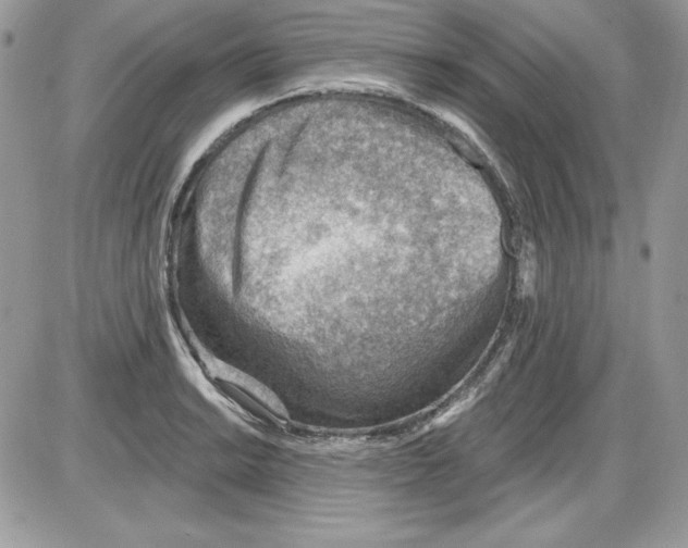 X0000085801038200704131916