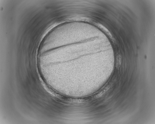 X0000085801039200704131916