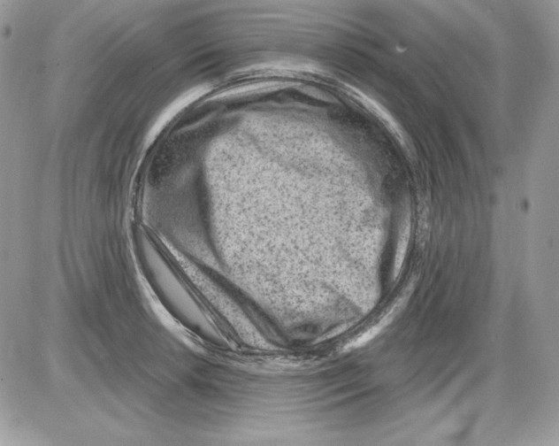 X0000085801042200704131916