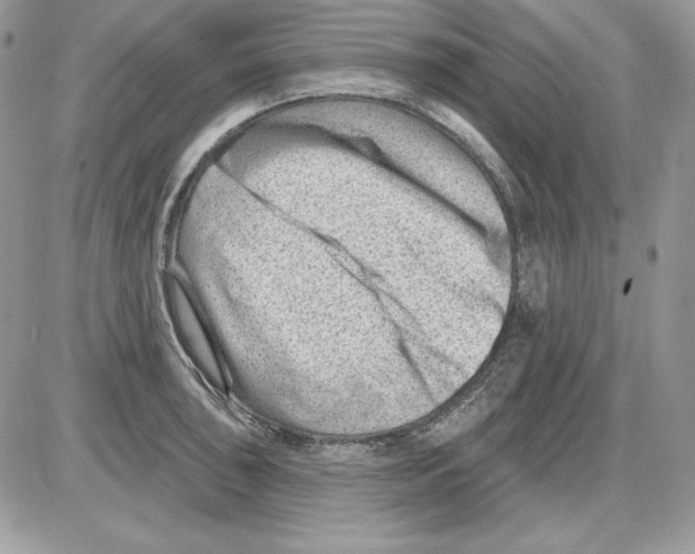 X0000085801043200704131916