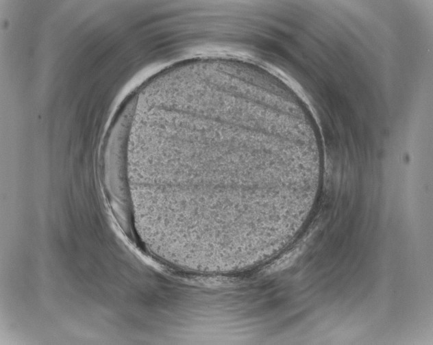 X0000085801045200704131916