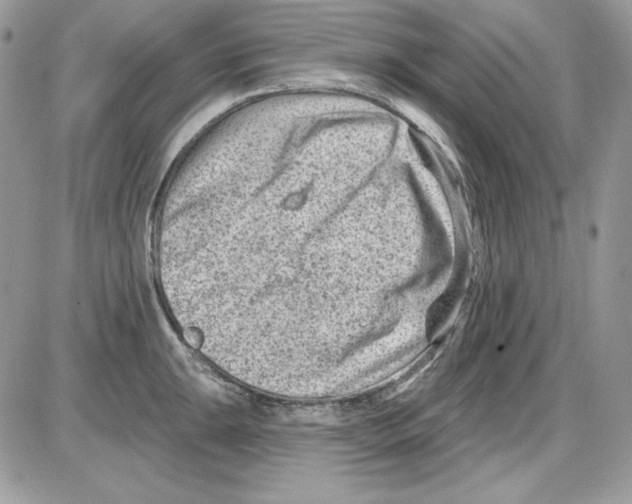 X0000085801047200704131916