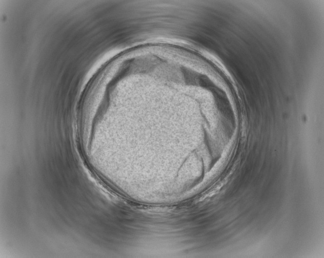 X0000085801048200704131916