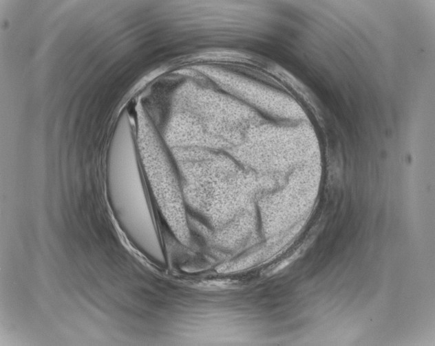 X0000085801049200704131916