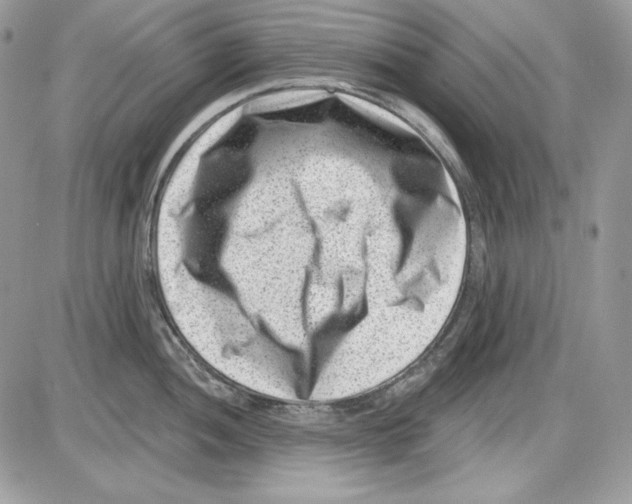 X0000085801052200704131916