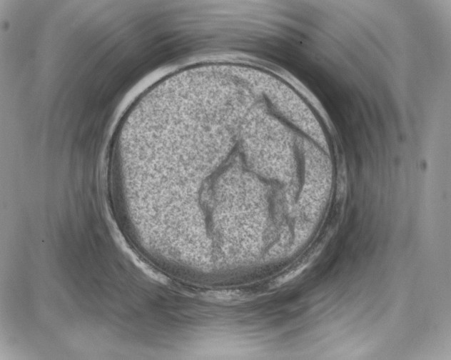 X0000085801053200704131916