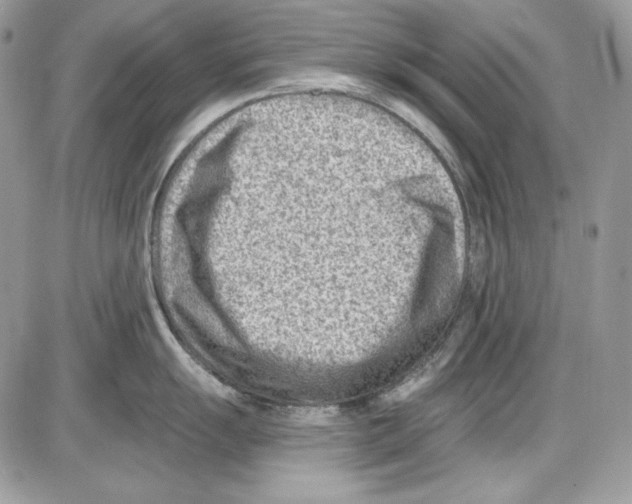 X0000085801055200704131916