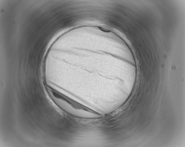 X0000085801056200704131916