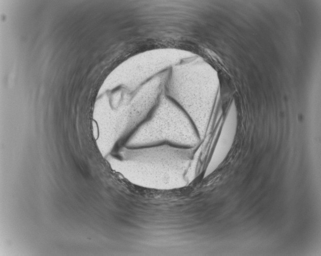 X0000085801057200704131915