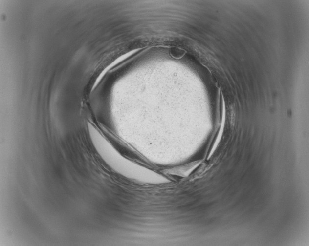 X0000085801059200704131915