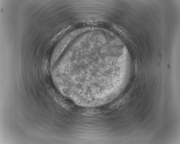 X0000085801060200704131915