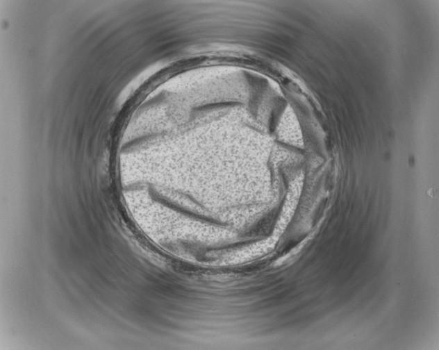 X0000085801066200704131915