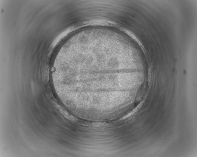 X0000085801067200704131915