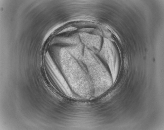 X0000085801069200704131915