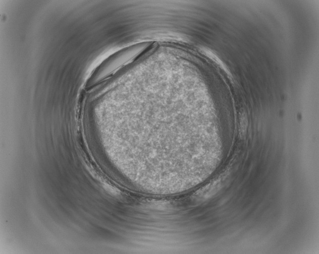 X0000085801071200704131915