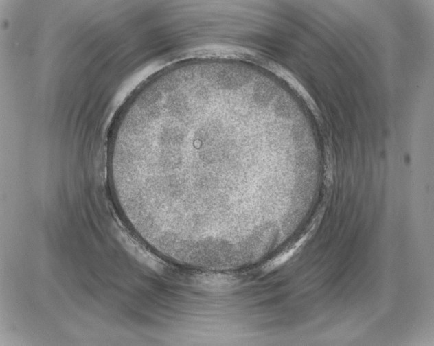 X0000085801075200704131915