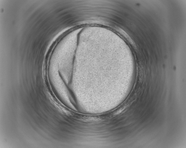 X0000085801076200704131915