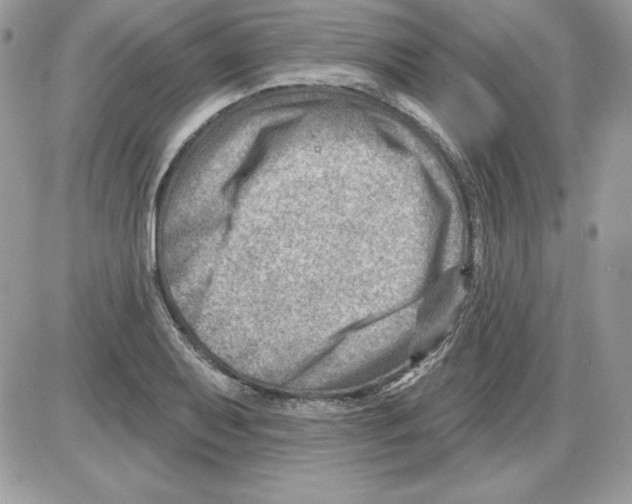 X0000085801079200704131915