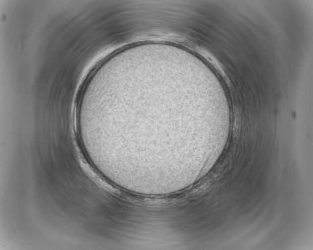 X0000085801080200704131915