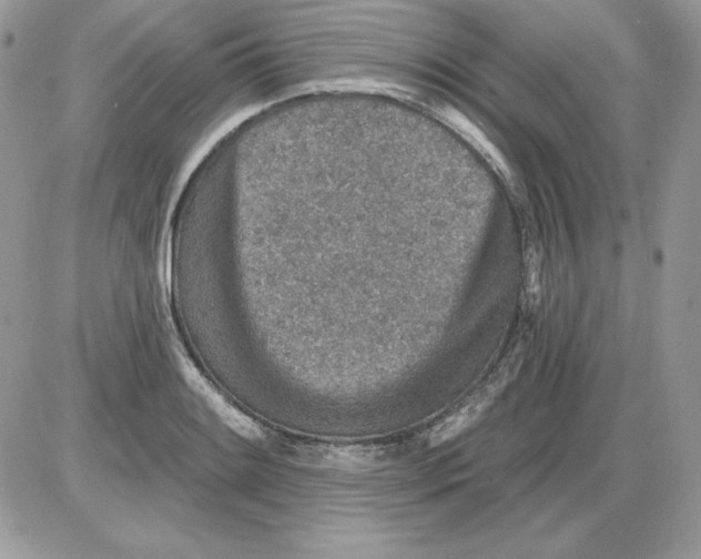 X0000085801084200704131915