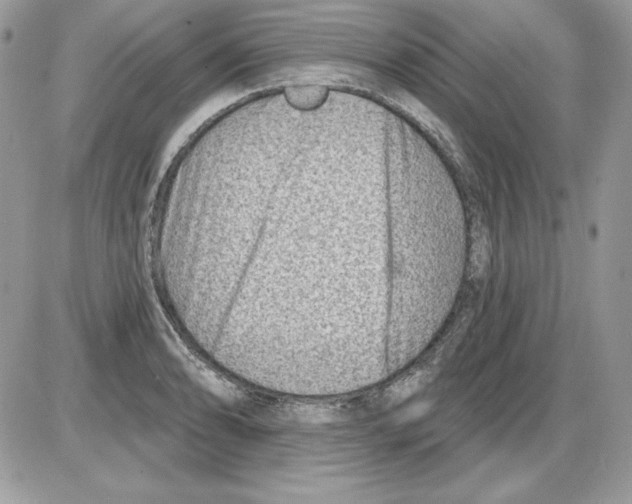 X0000085801086200704131915