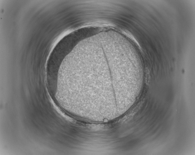 X0000085801087200704131915