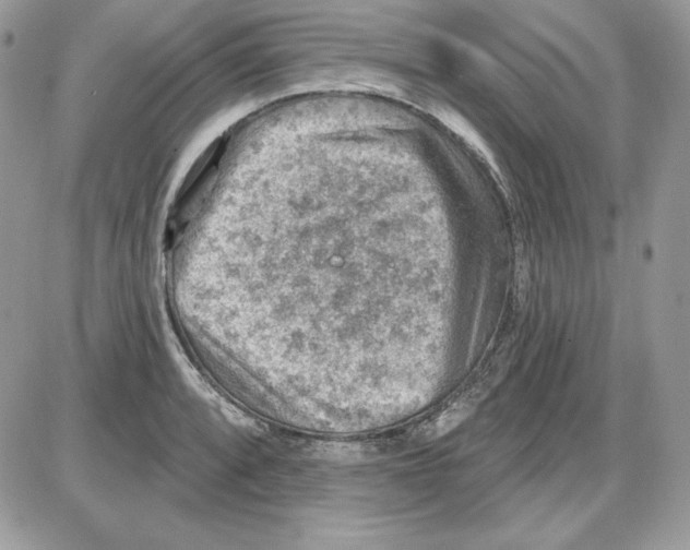 X0000085801088200704131915