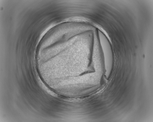 X0000085801091200704131915