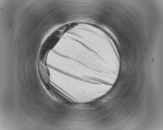 X0000085801093200704131915