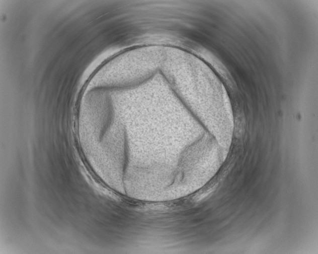 X0000085801094200704131914