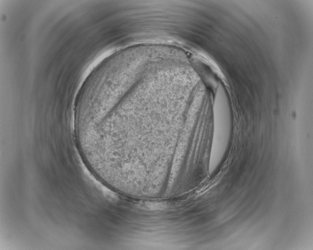 X0000085801095200704131914