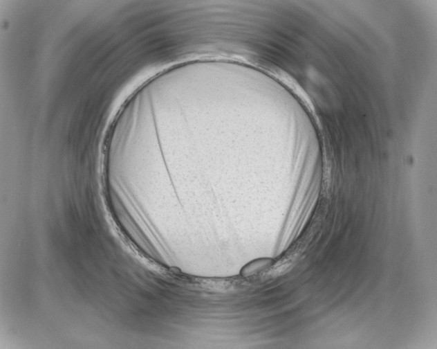 X0000085801096200704131914