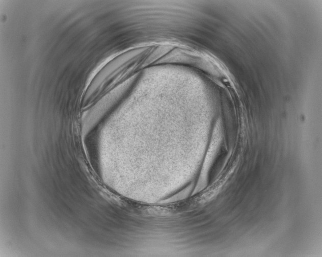 X0000085801097200704131914