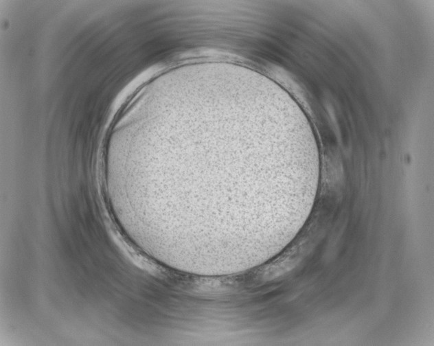 X0000085801098200704131914