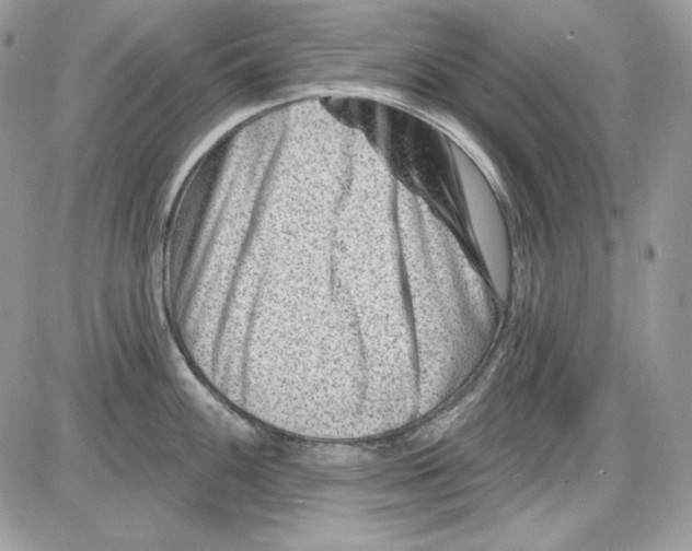 X0000085801100200704131914