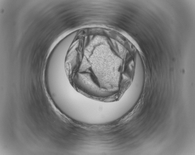 X0000085801101200704131914