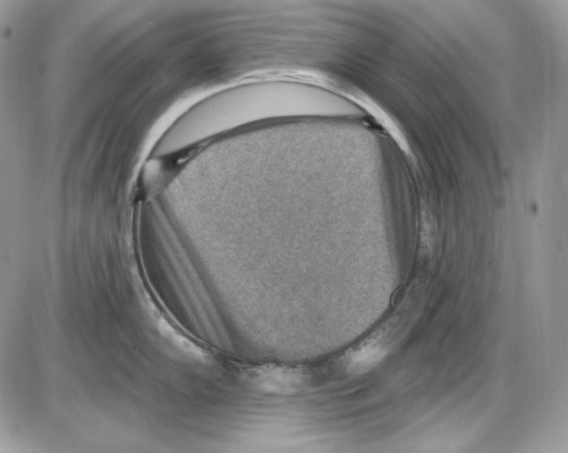 X0000085801102200704131914