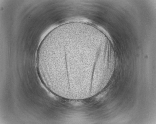 X0000085801103200704131914