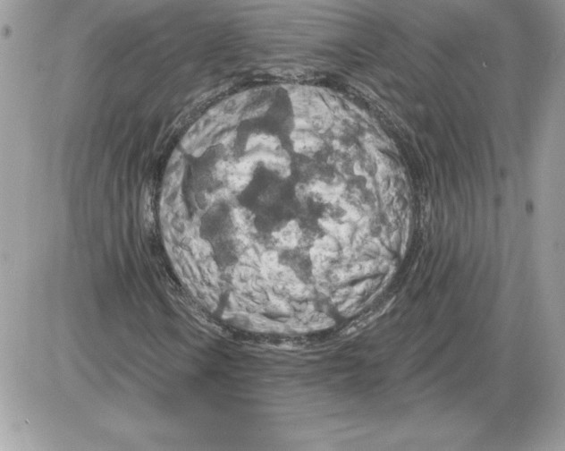 X0000085801106200704131914