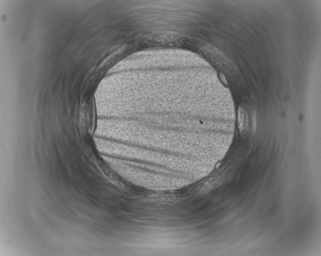 X0000085801107200704131914