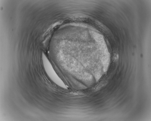 X0000085801108200704131914