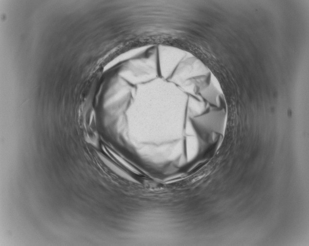 X0000085801109200704131914