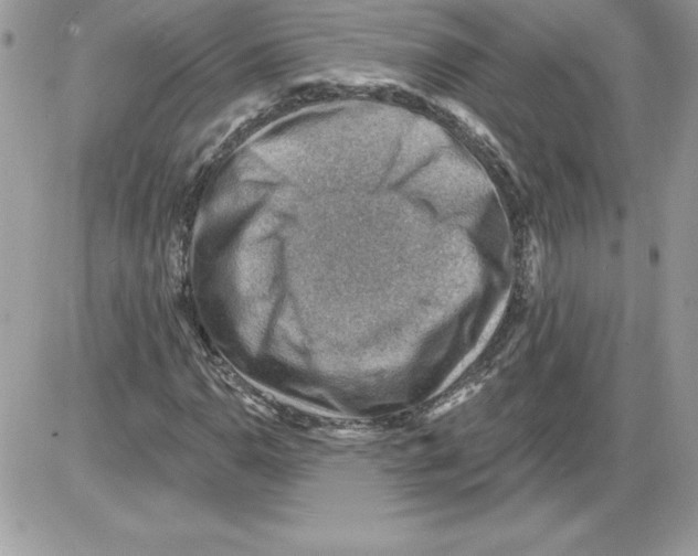 X0000085801110200704131914