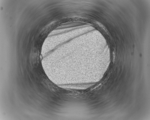 X0000085801111200704131914