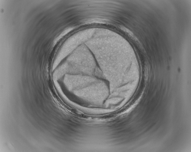 X0000085801113200704131914