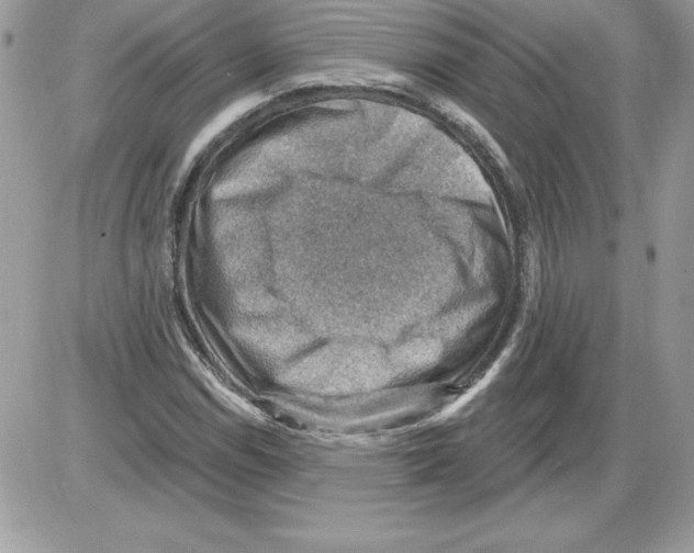 X0000085801114200704131914