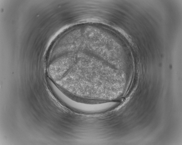 X0000085801118200704131914