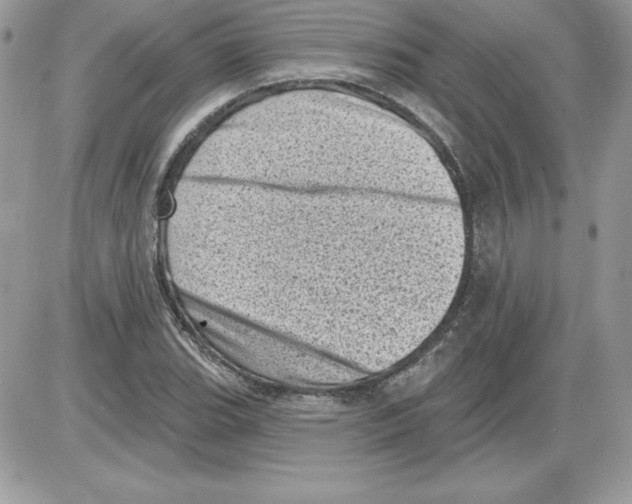 X0000085801119200704131914