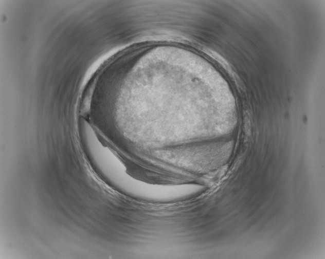 X0000085801120200704131914