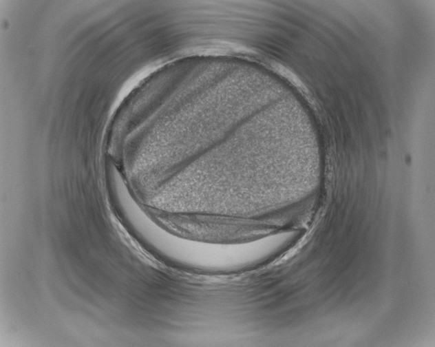 X0000085801122200704131914